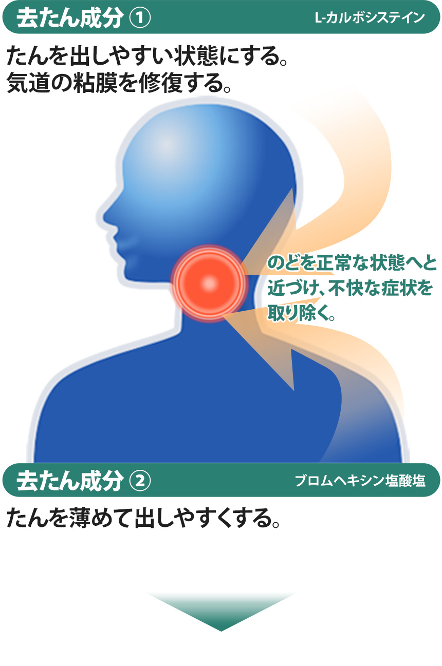 去たん と せき止め の違いは クールワン キョーリン製薬 去たん と せき止め の違いは クールワン キョーリン製薬
